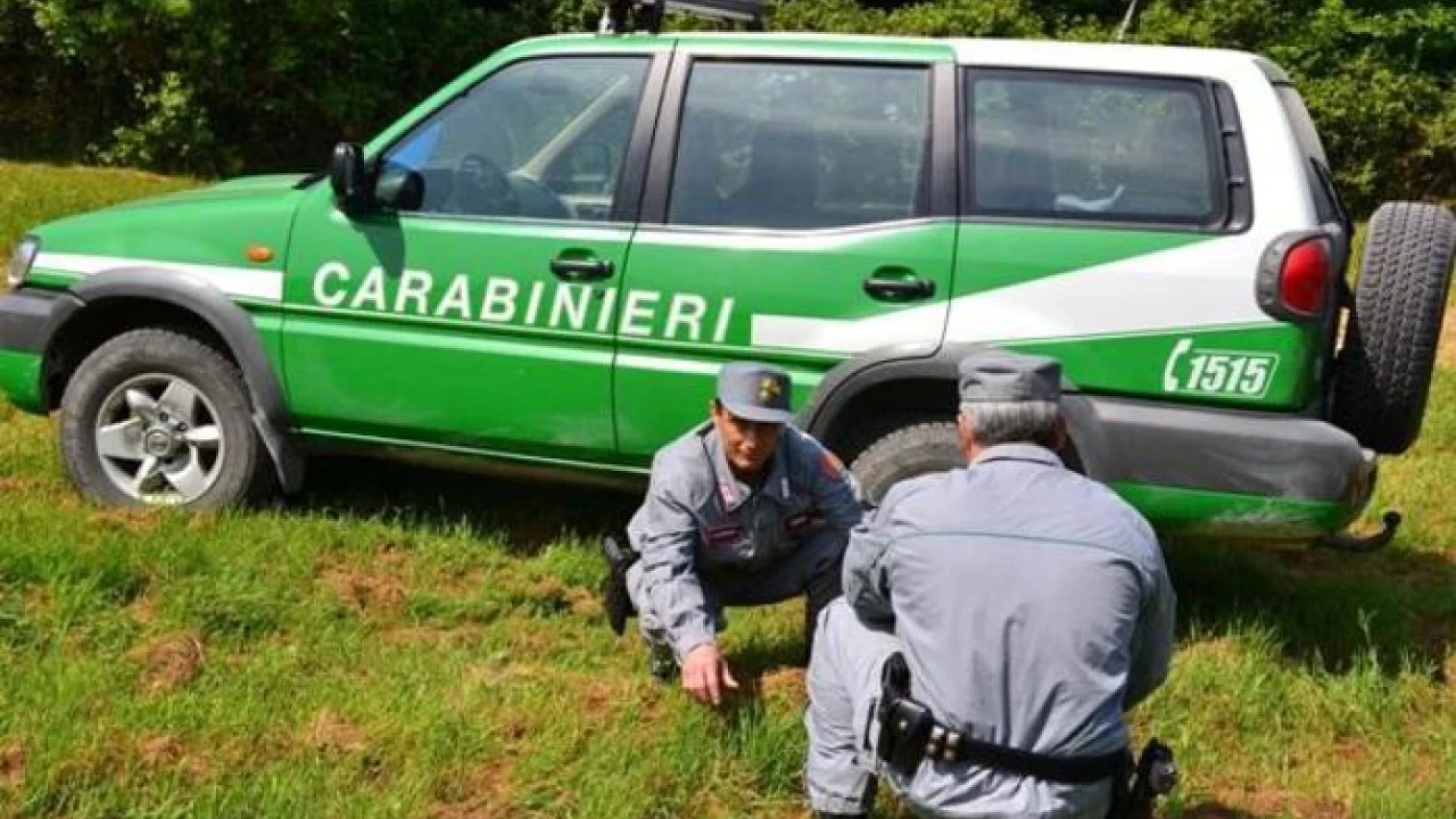 “Ambiente e identità Nazionale: i Carabinieri Forestali del Reparto Biodiversità di Isernia celebrano le Foreste e il Made in Italy.